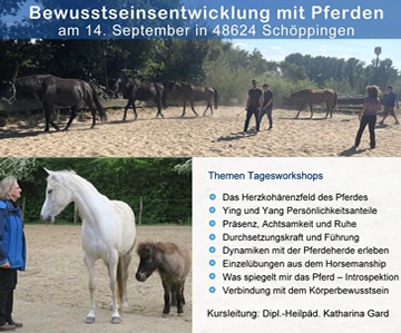Coachingseminar mit Pferden