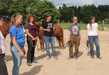 Horsemanship Katharina  Gard